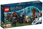 LEGO 76400 Harry Potter TM Testrale i kareta z Hogwartu 7+