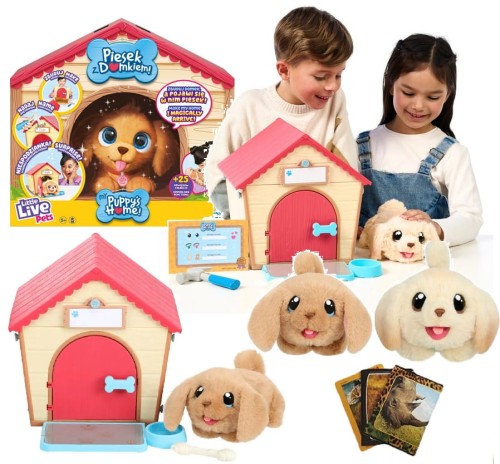 bd0c90a0f06eb85708284604e2b9b735